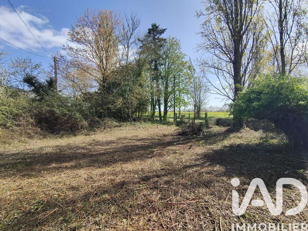 Photo 3 - Maison à PIRE-SUR-SEICHE