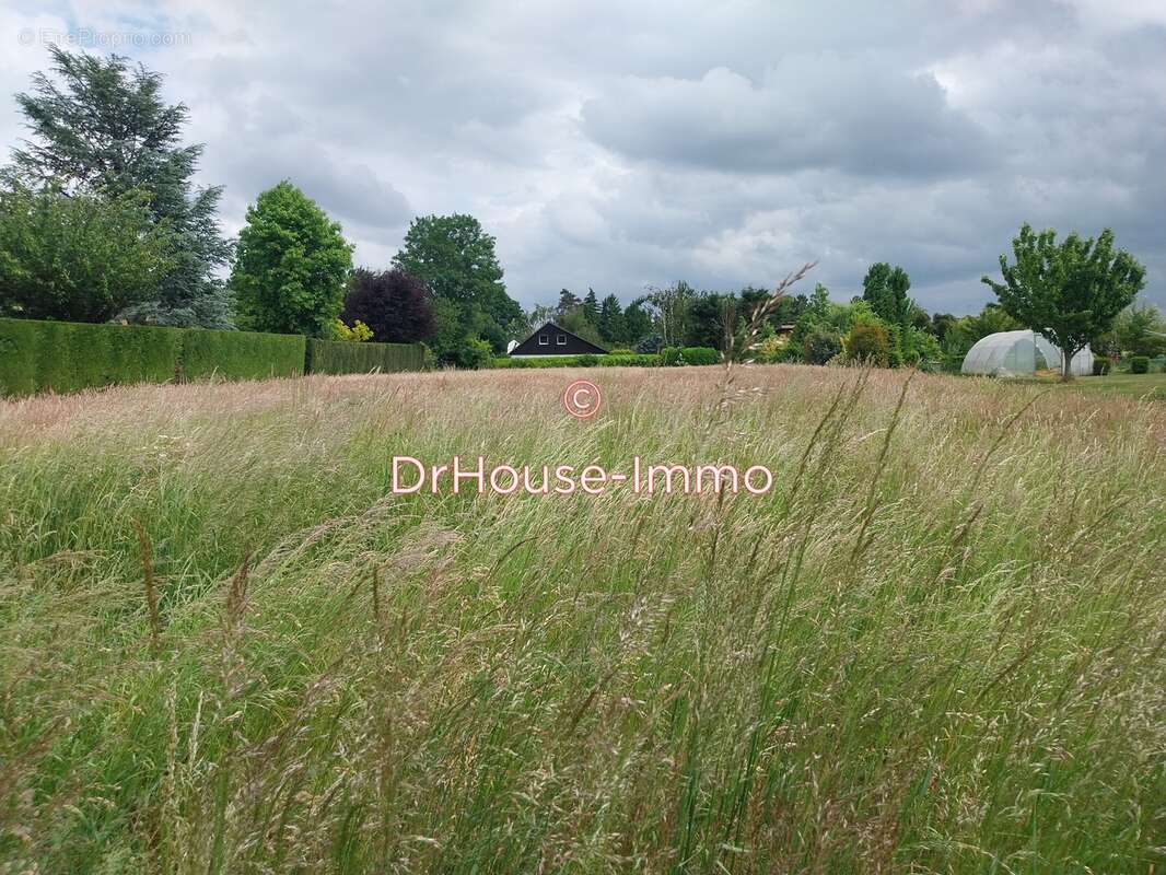 Terrain à SAINGHIN-EN-MELANTOIS