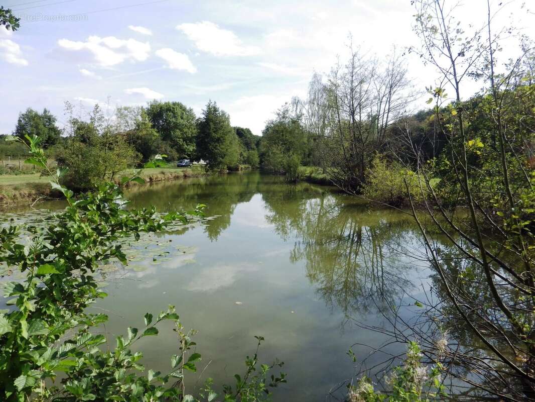 Terrain à VILLEREAU