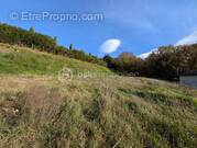 Terrain à SAUZET