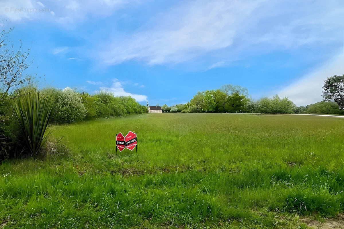 Terrain à COSNE-COURS-SUR-LOIRE