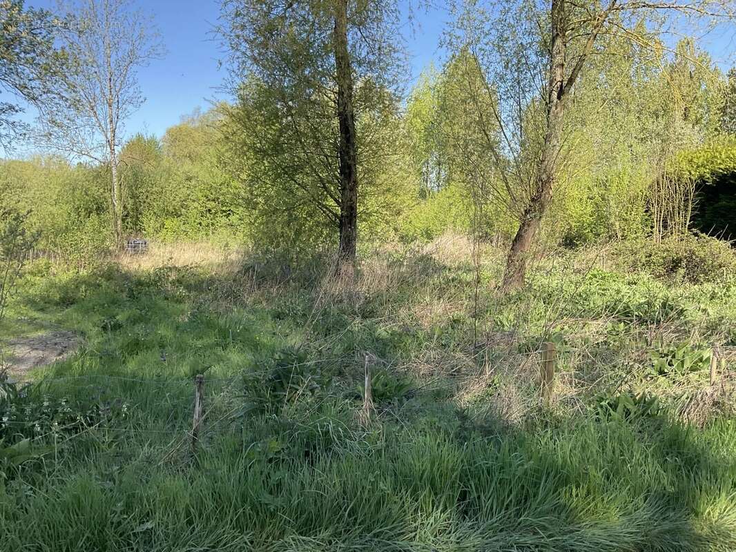 Terrain à BEAUMERIE-SAINT-MARTIN