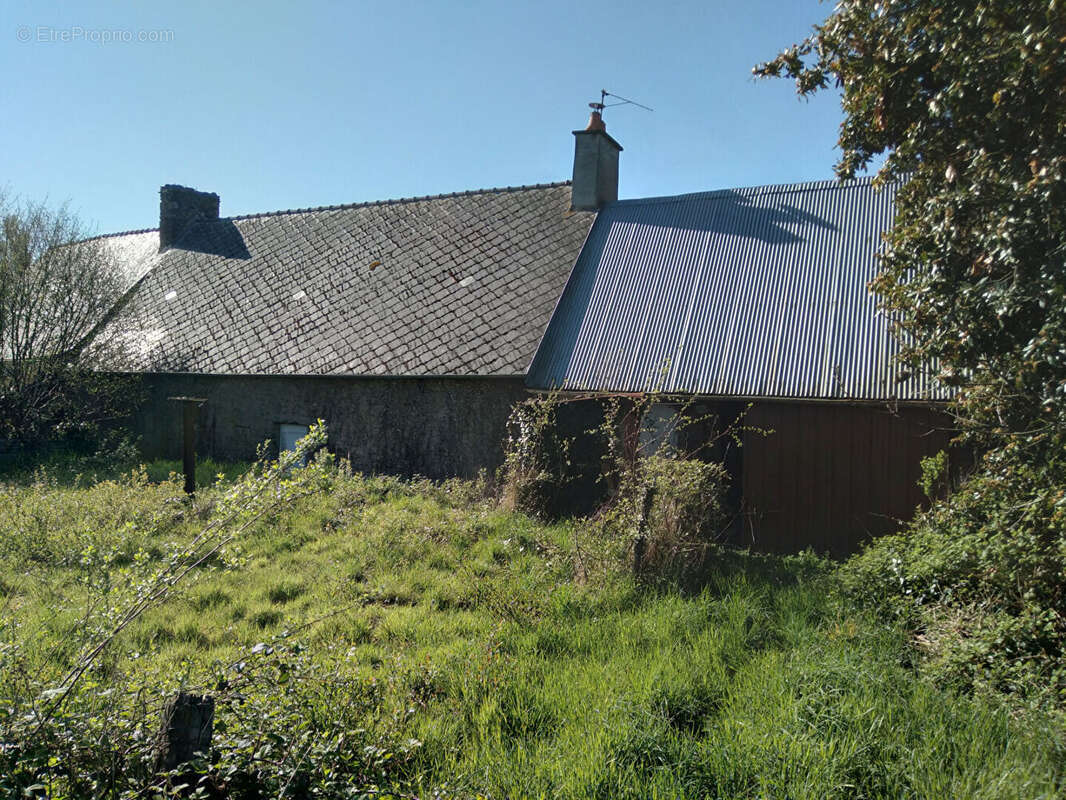 Maison à TRANS-LA-FORET