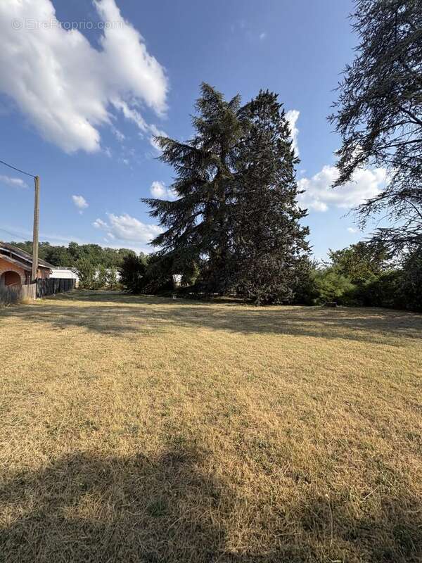 Terrain 553 m² à Beaurepaire  - photo 3