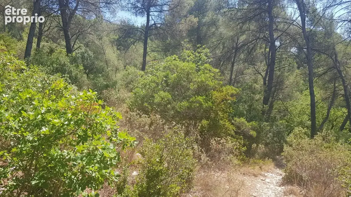 Exclusivite - terrain a vendre - la roque d'antheron - foret - photo 5