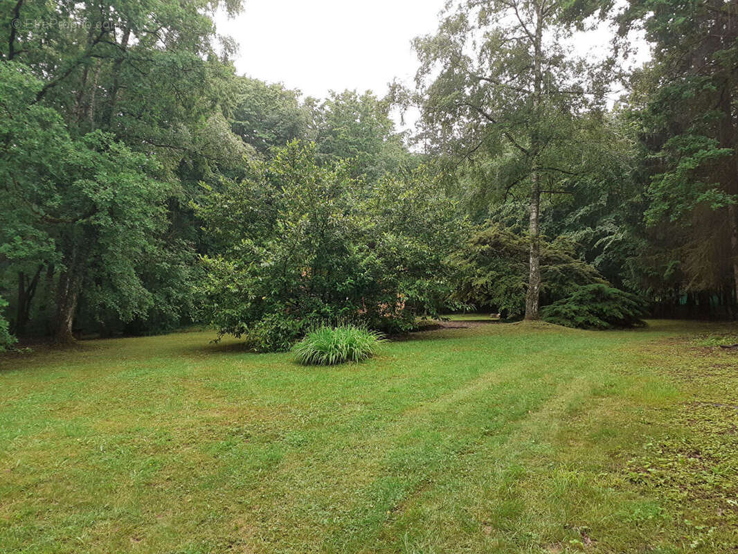 Terrain à BIESLES