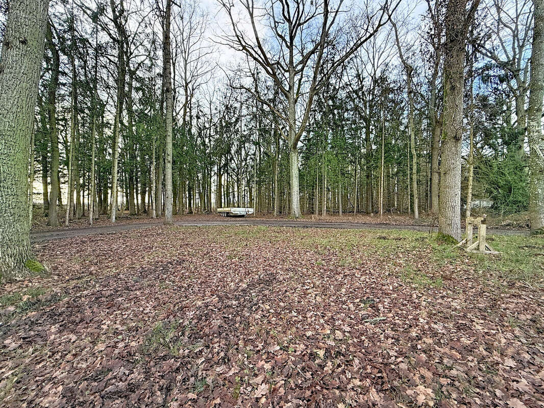 Terrain à COURTERANGES