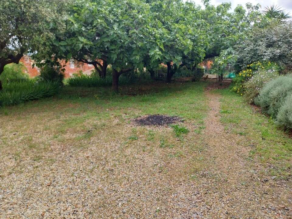 Terrain à ROQUEBRUNE-SUR-ARGENS