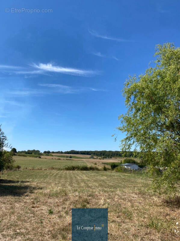 Terrain à SAINT-LOUBES