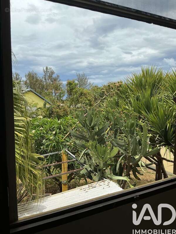 Photo 8 - Maison à SAINT-JOSEPH