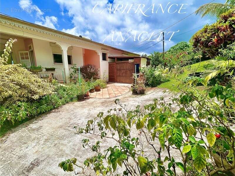 Maison à RIVIERE-PILOTE