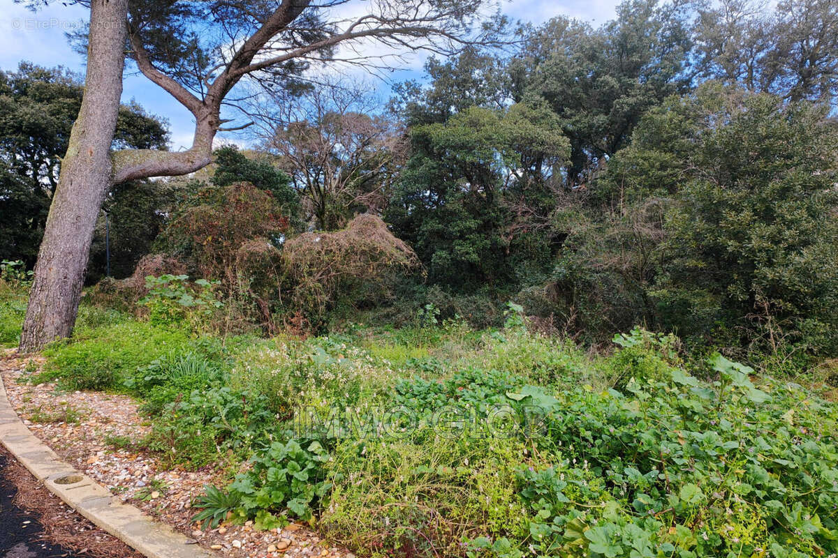 Terrain à VILLENEUVE-LES-AVIGNON