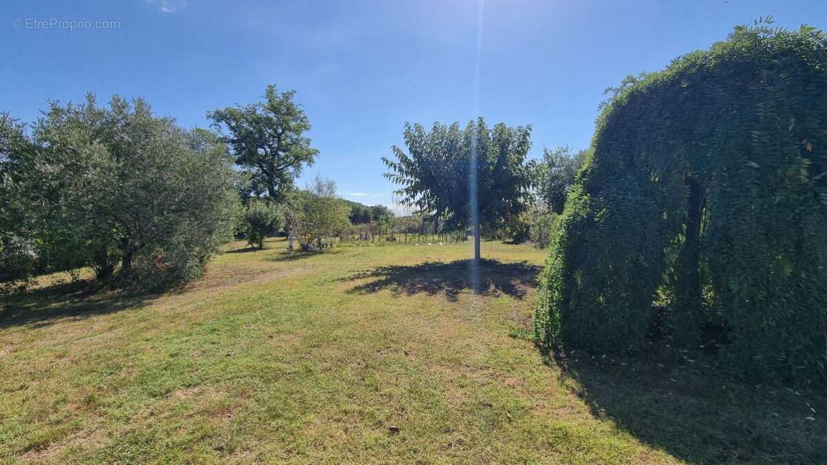 Maison à BUZET-SUR-TARN