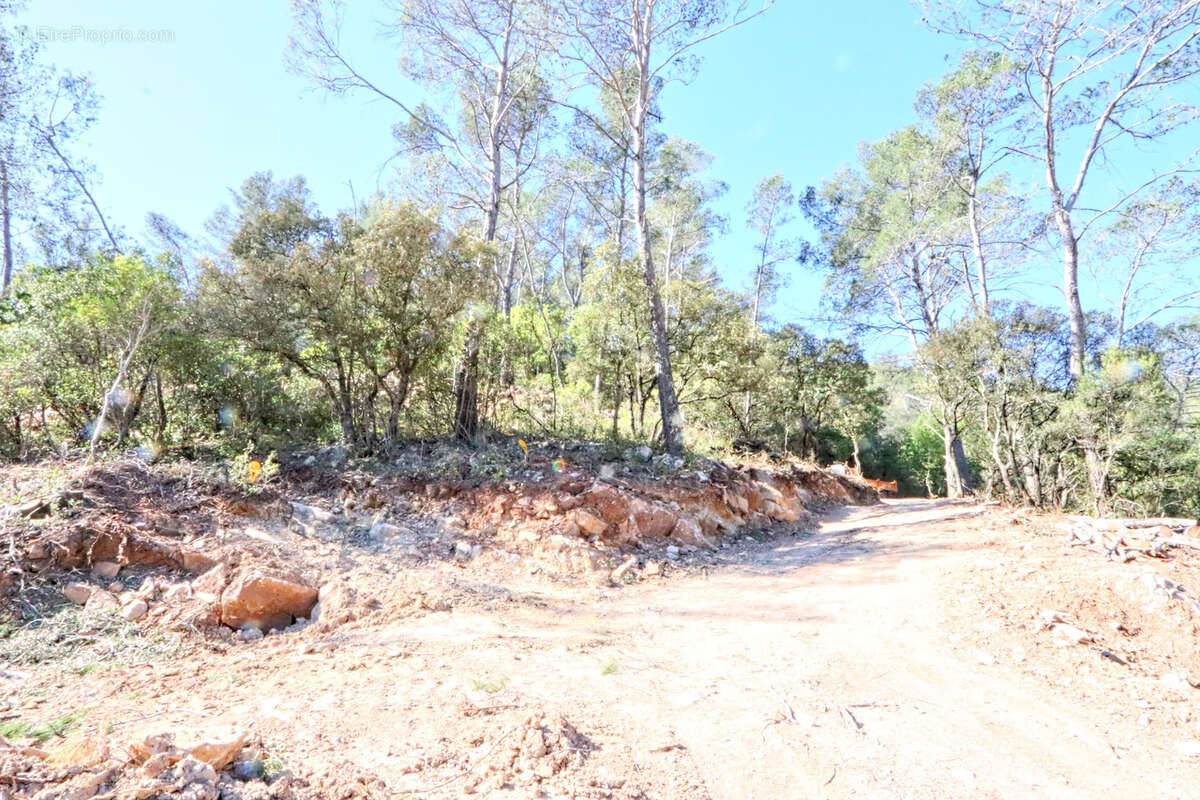 Terrain à BELGENTIER