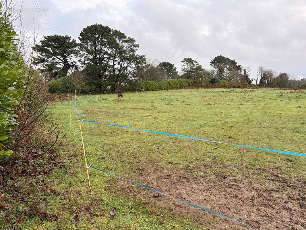 Terrain à GUERLESQUIN