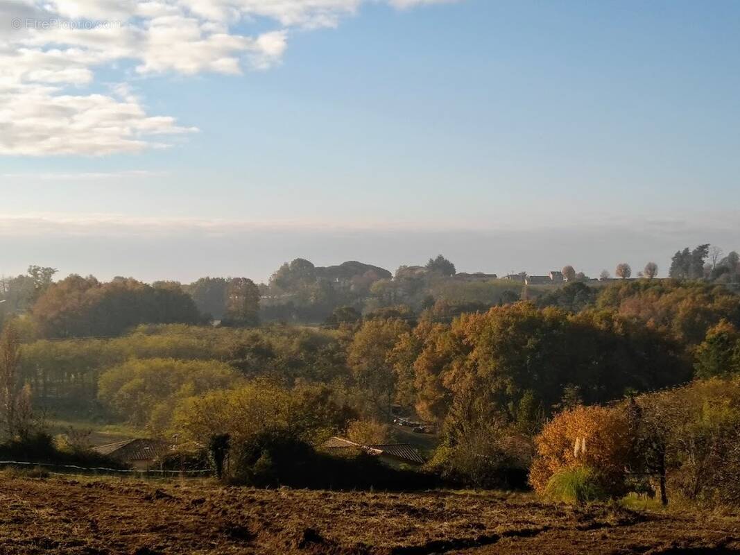 Terrain à BAURECH