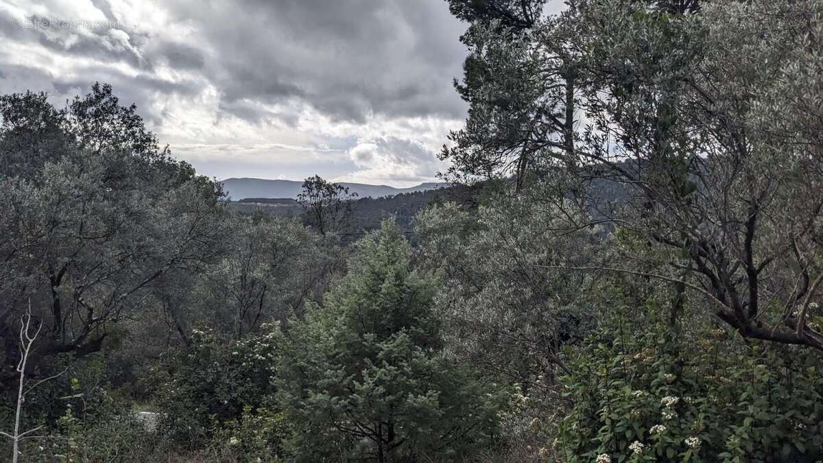 Terrain à CLAVIERS