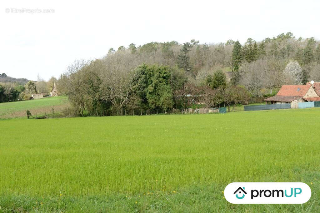 Terrain à CAMPSEGRET