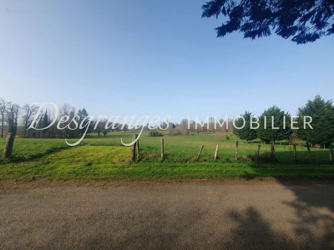 Terrain à PAYZAC