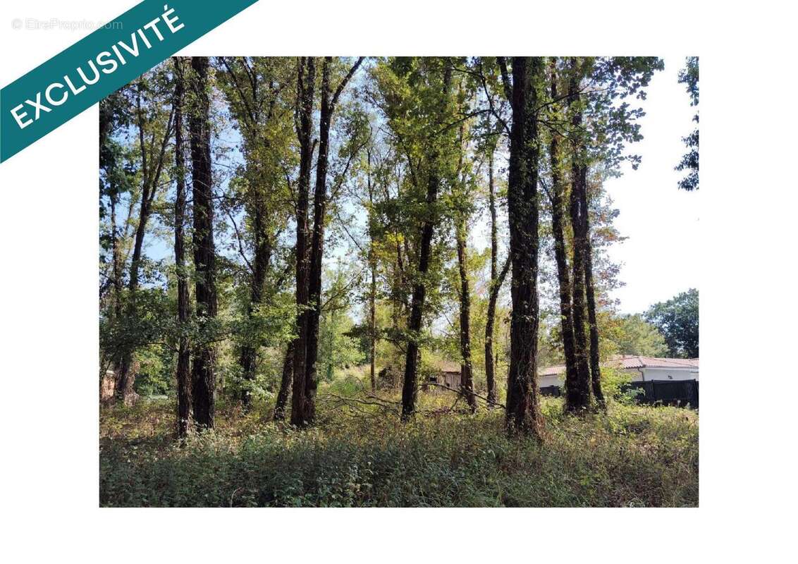 Photo 2 - Terrain à MONTPON-MENESTEROL
