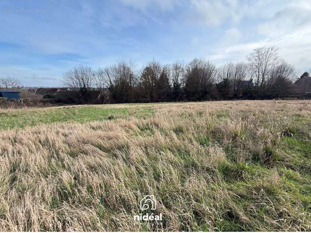 Terrain à BOUSSIERES-SUR-SAMBRE