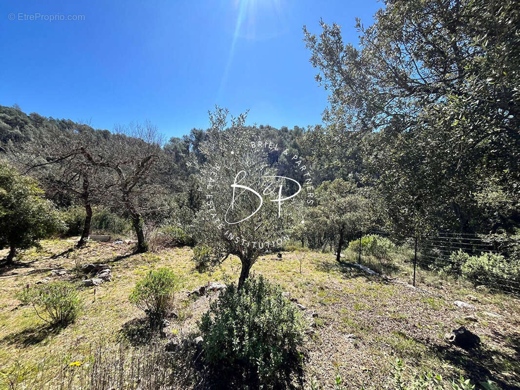 Maison à LE THORONET