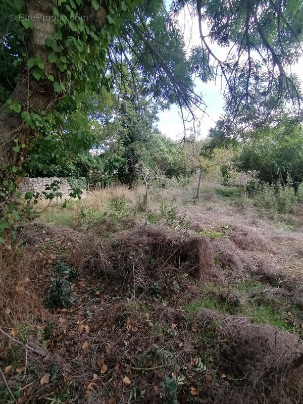 Maison à MOUTHOUMET