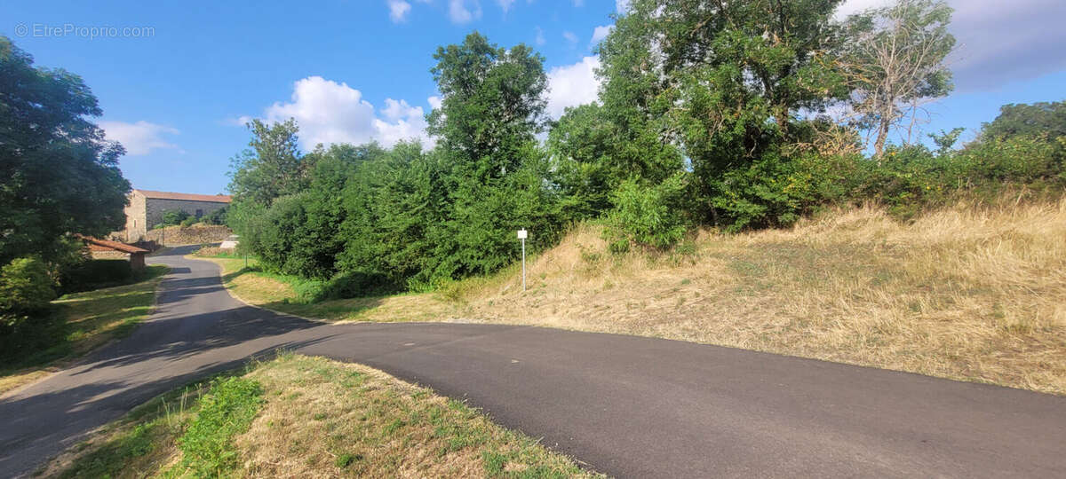 terrain constructible non viabilisé d'une surface de 1793m² - photo 5