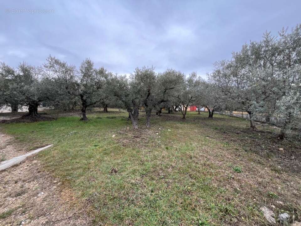 Terrain à MANOSQUE