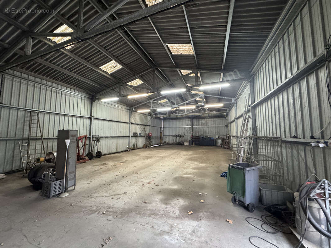 Commerce à CARCASSONNE