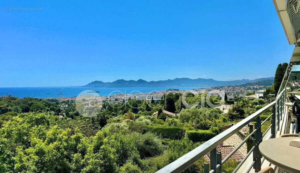 Super cannes - photo 4