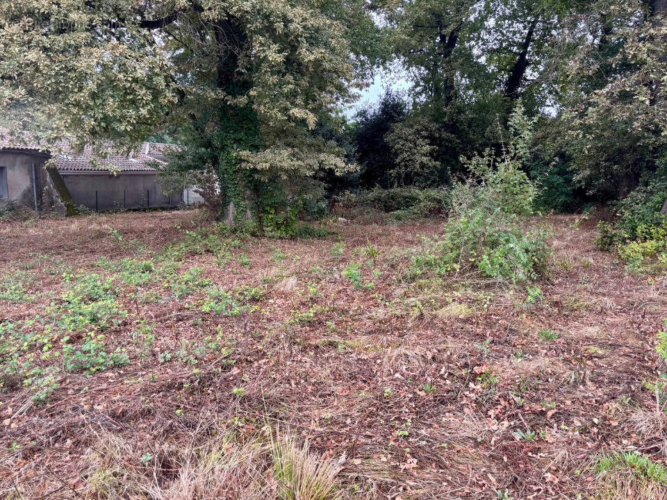 Terrain à SAINT-ESTEPHE