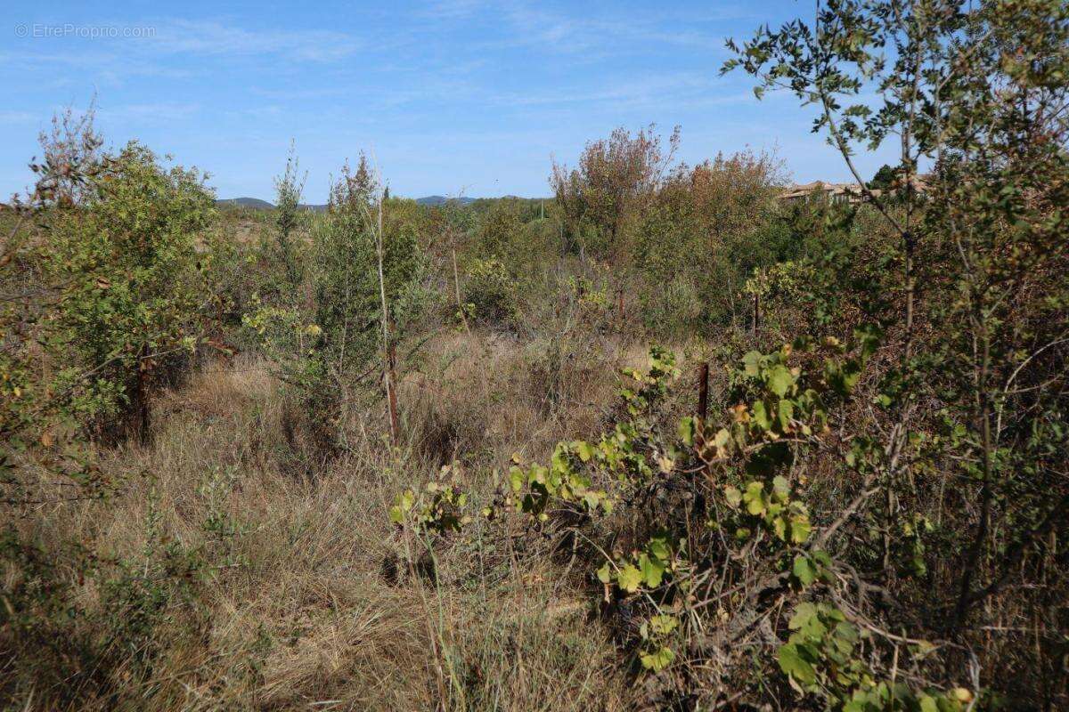 Terrain à LA LIVINIERE