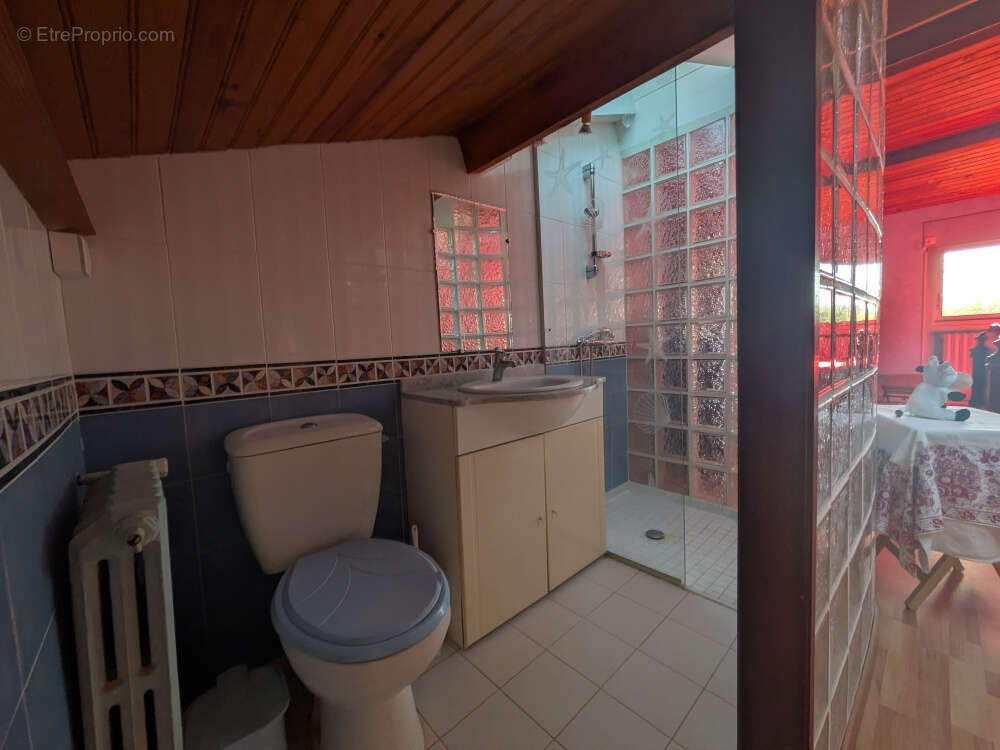 Maison à VILLENEUVE-TOLOSANE