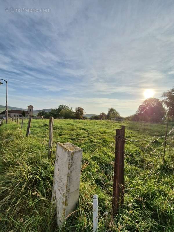 Terrain à LANDREMONT