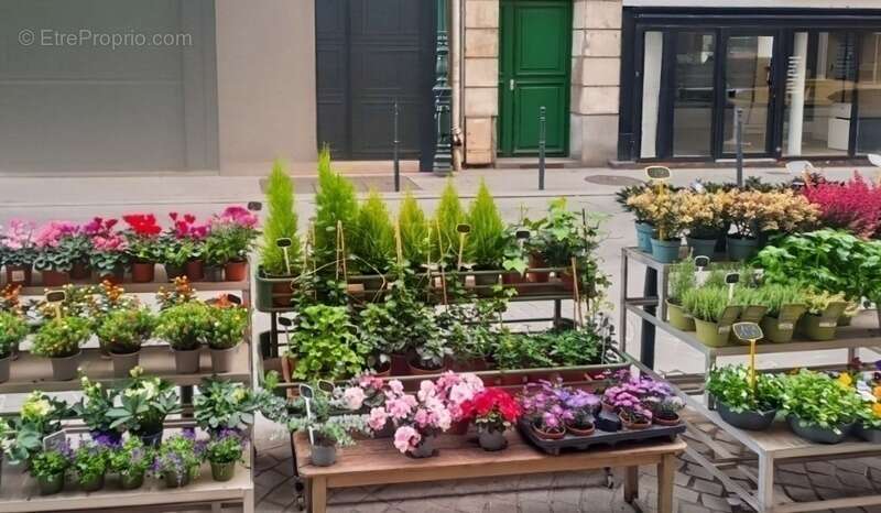 Commerce à COLOMBES