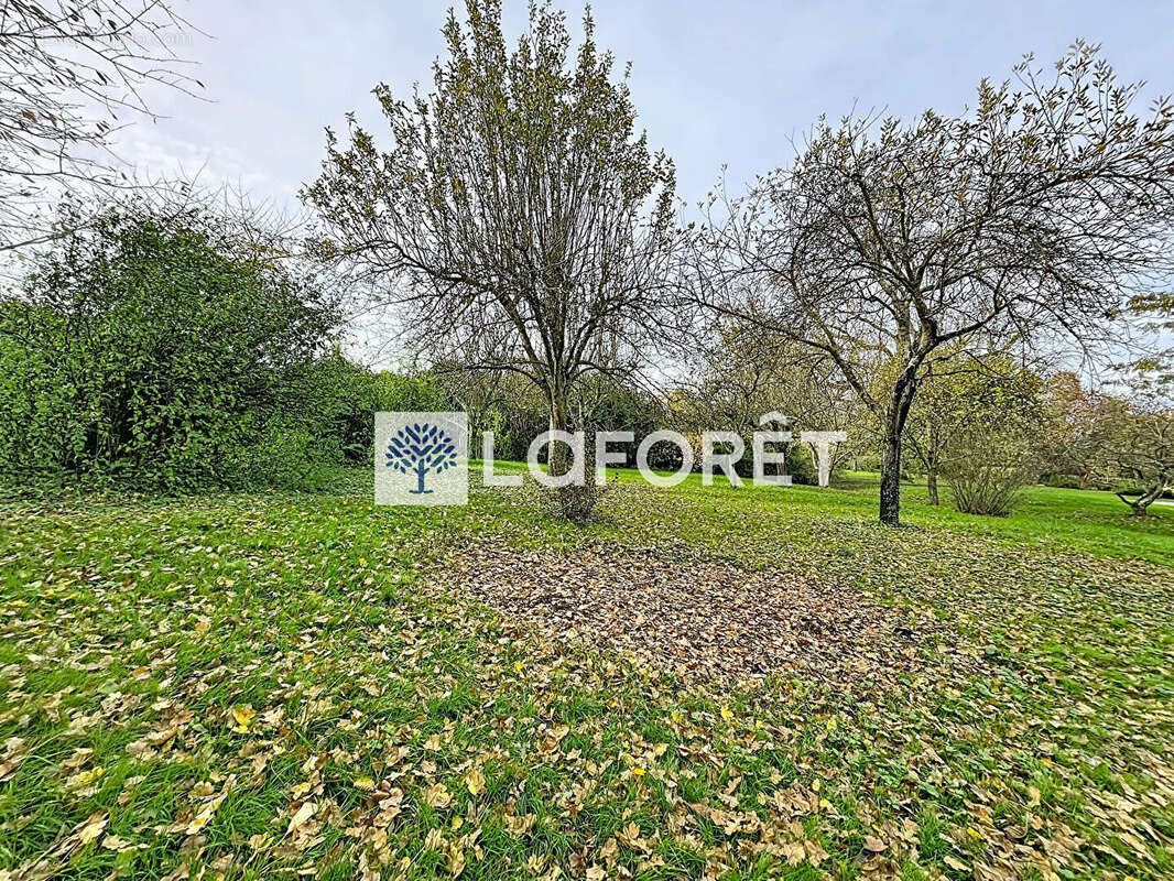 Terrain à CHATILLON-SUR-CHALARONNE