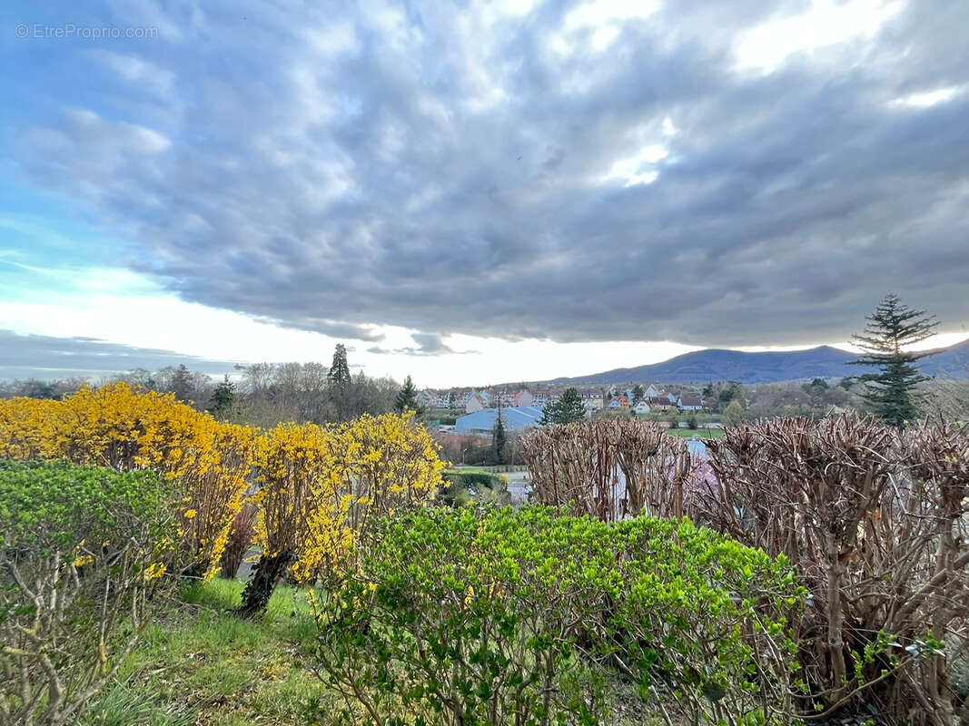 Appartement à OBERNAI