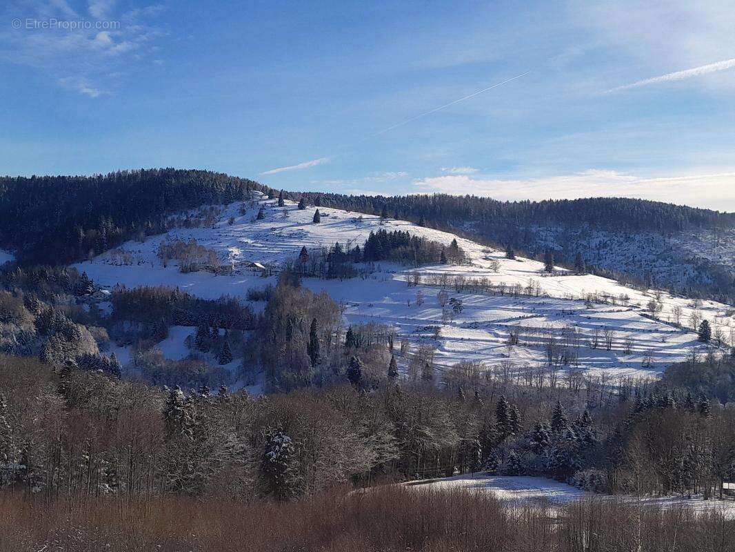 Maison à FRESSE-SUR-MOSELLE