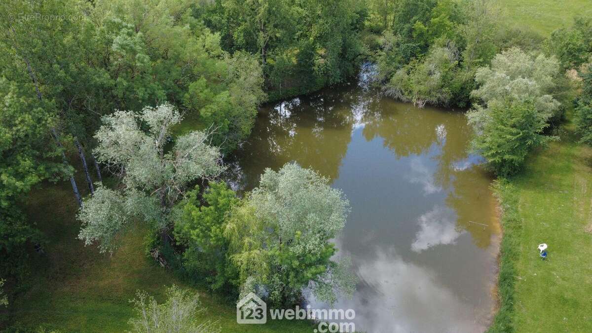 Maison 315 m² à Vic-Fezensac  - photo 17