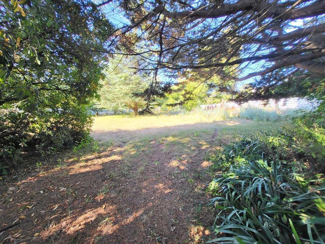 Terrain constructible à vendre  CAMARET SUR MER (29) - photo 3