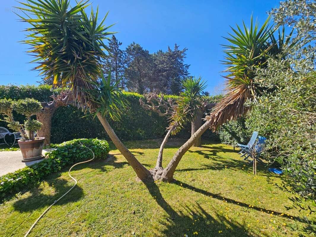 Maison 157 m² à Bouzigues  - photo 3