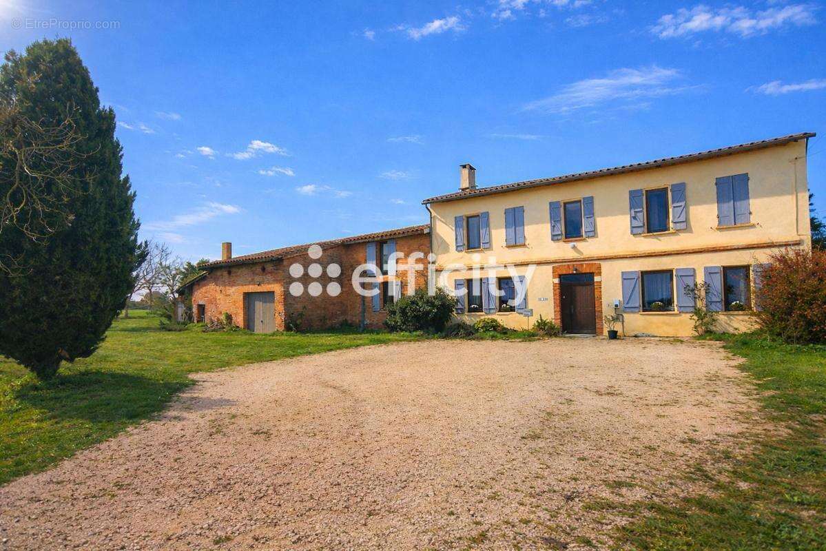 Maison à SAINTE-FOY-D'AIGREFEUILLE