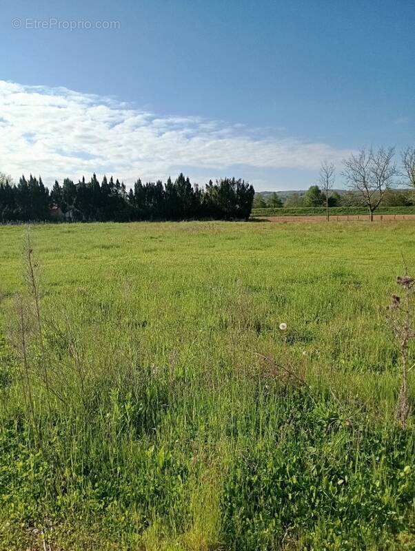 Terrain à MARCILLOLES