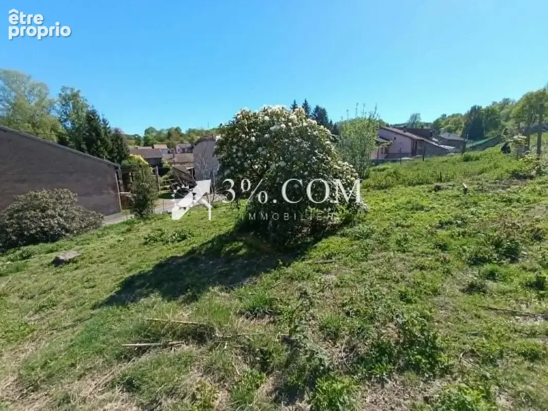 Maison à Neufmaisons 54540 (Meurthe et Moselle) - photo 16