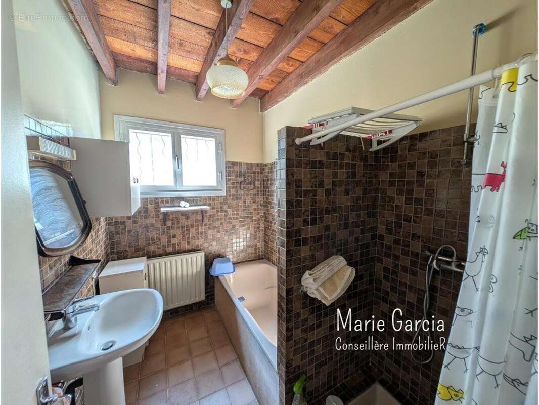 Photo 8 - Maison à MONTFERRIER-SUR-LEZ