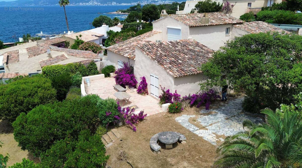 Maison à PIETROSELLA