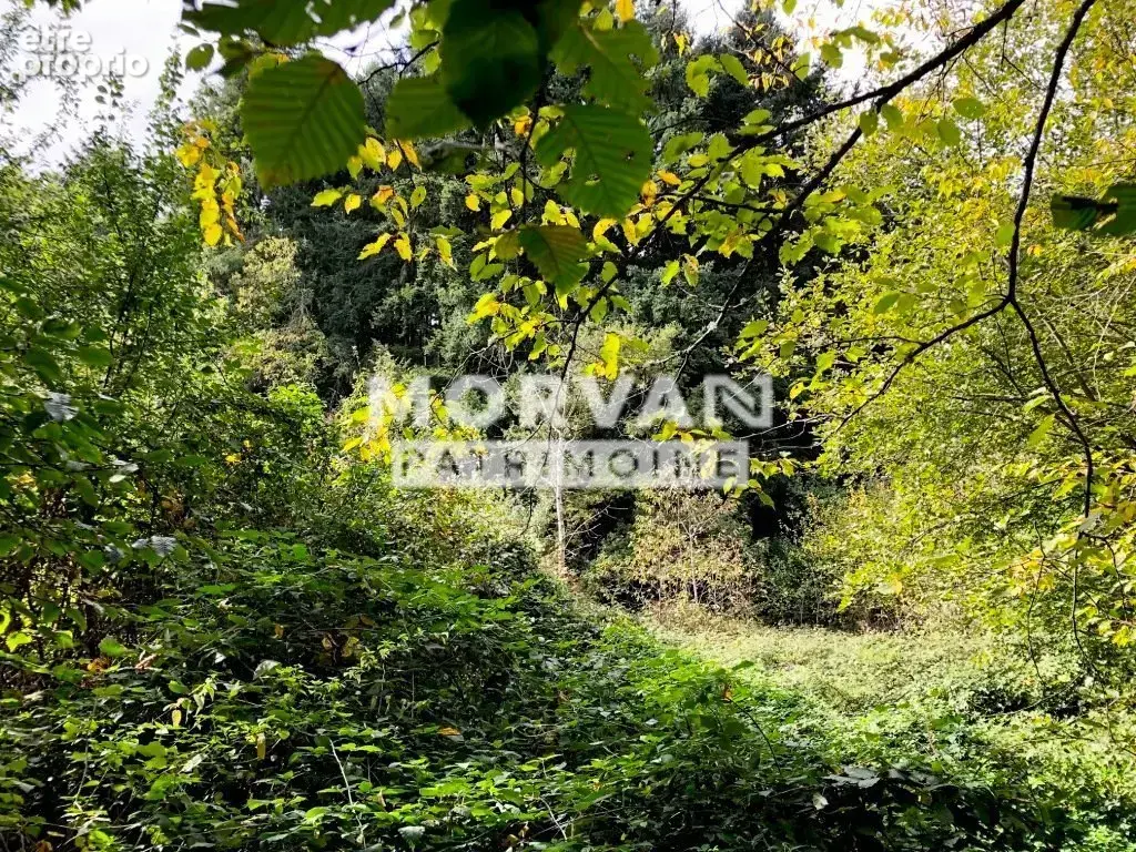 Saint Saulge - photo 5