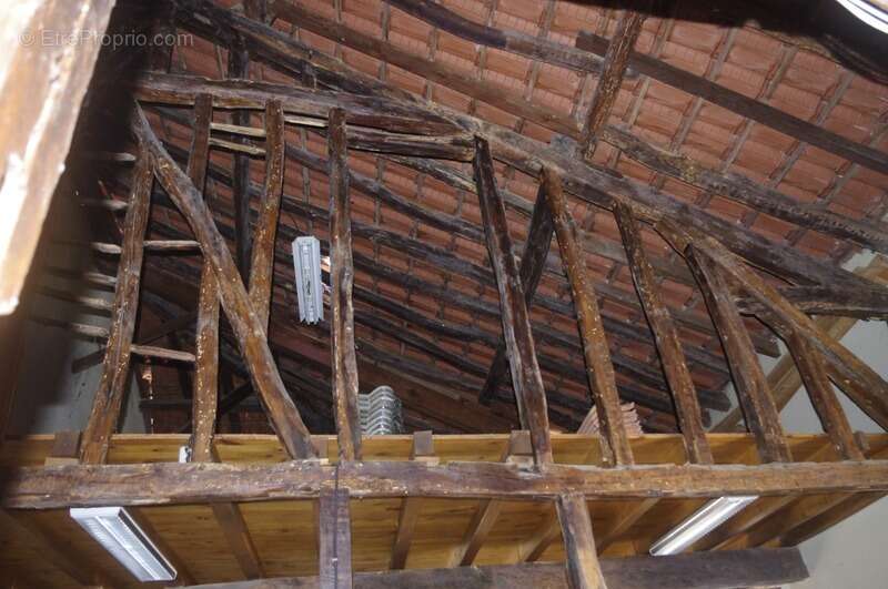 Commerce à VIC-FEZENSAC