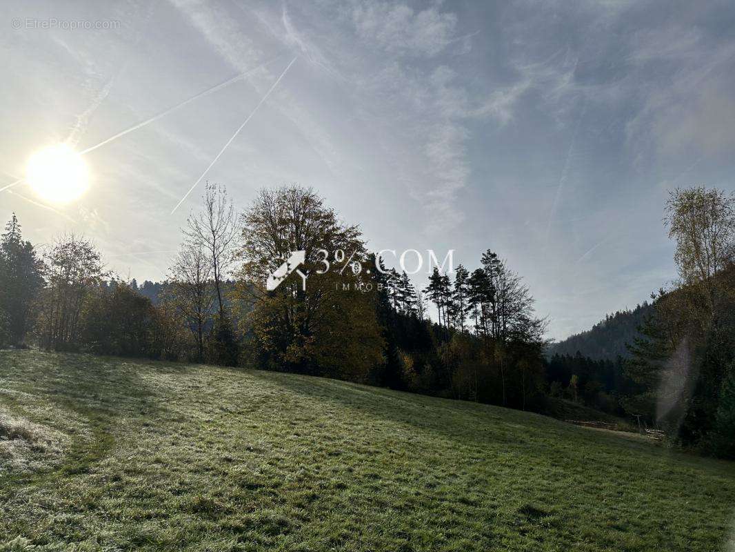 Terrain à GERARDMER